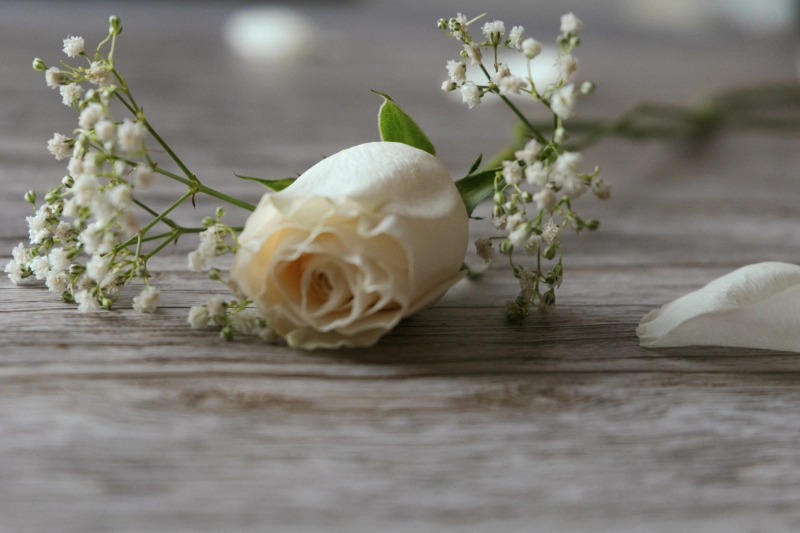 Hochzeitsringe Fotografie_Wr. Neustadt