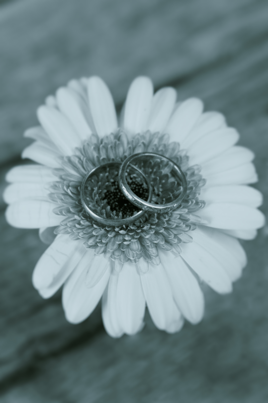 Ringe_Produktefotos_Eisenstadt
